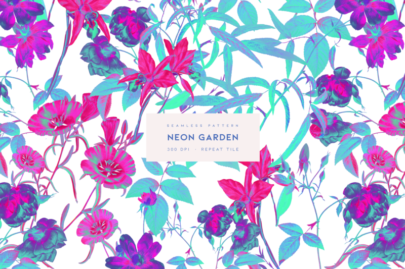 neon-garden