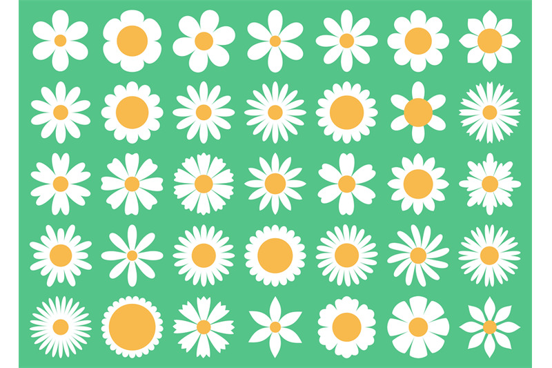 cartoon-daisy-flowers-different-primitive-chamomiles-decorative-whit