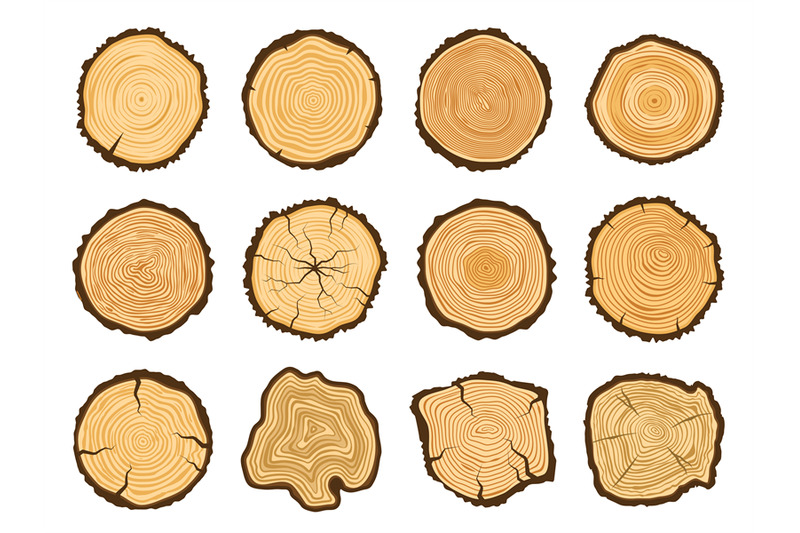 tree-trunk-cross-section-round-pine-logs-forest-wood-circle-and-tree