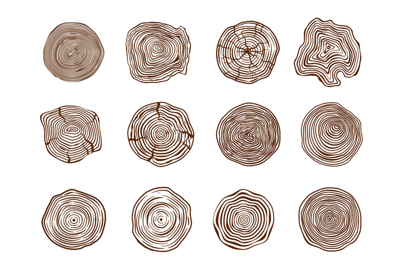 pine-log-cut-forest-tree-rings-natural-sawn-and-trunk-cross-section