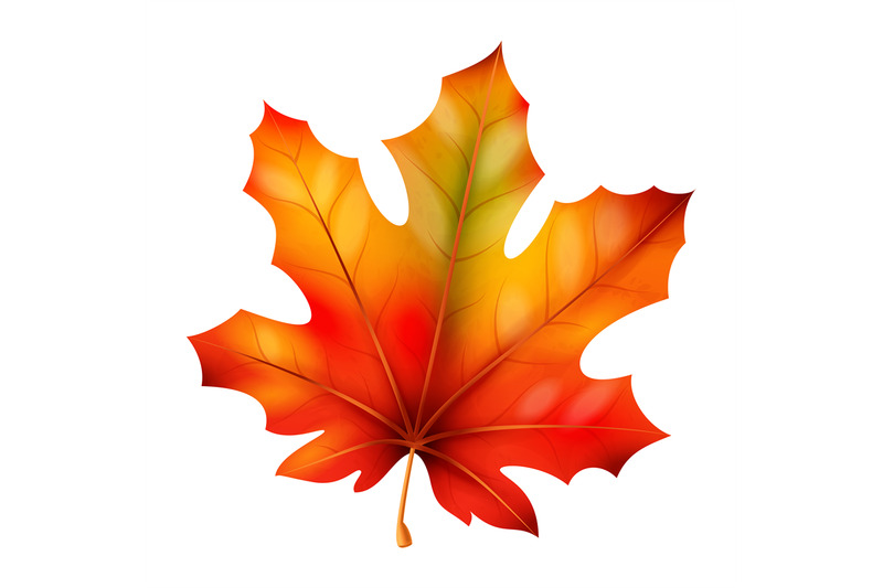 realistic-autumn-leaves-fall-orange-wood-foliage-maple-bright-red-an