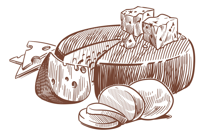 sketch-cheese-art-compositions-with-different-types-cheeses-whole-h