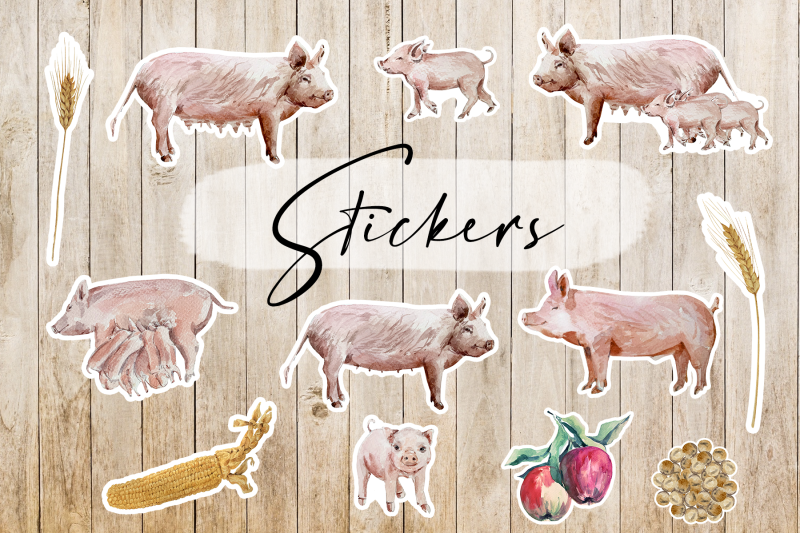 watercolor-pigs-life-cycle-and-clip-arts