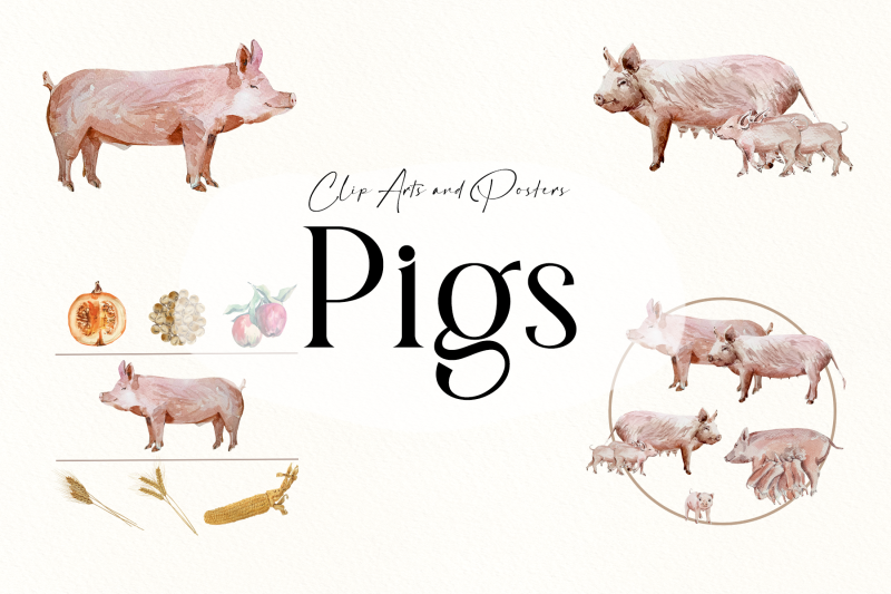 watercolor-pigs-life-cycle-and-clip-arts