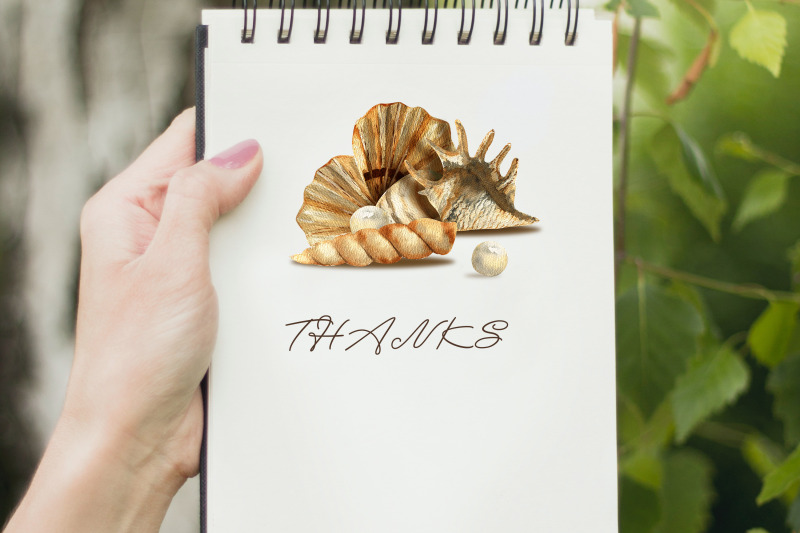 seashells-graphic-watercolor-cliparts