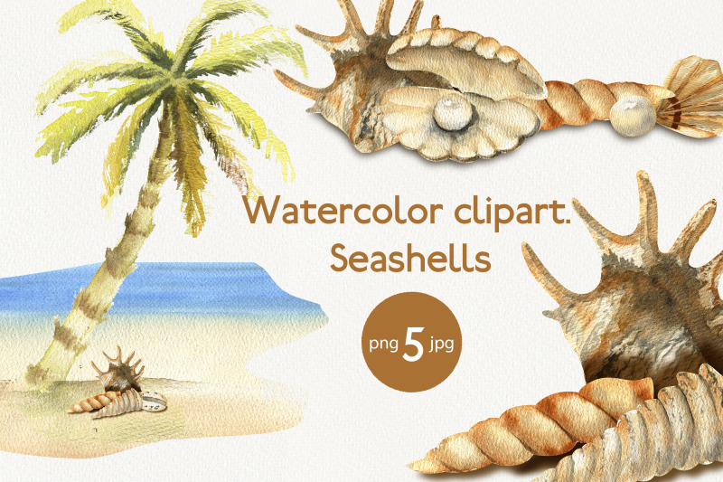 seashells-graphic-watercolor-cliparts