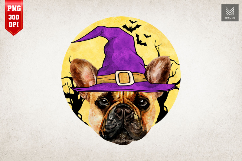 french-bulldog-witch-funny-halloween