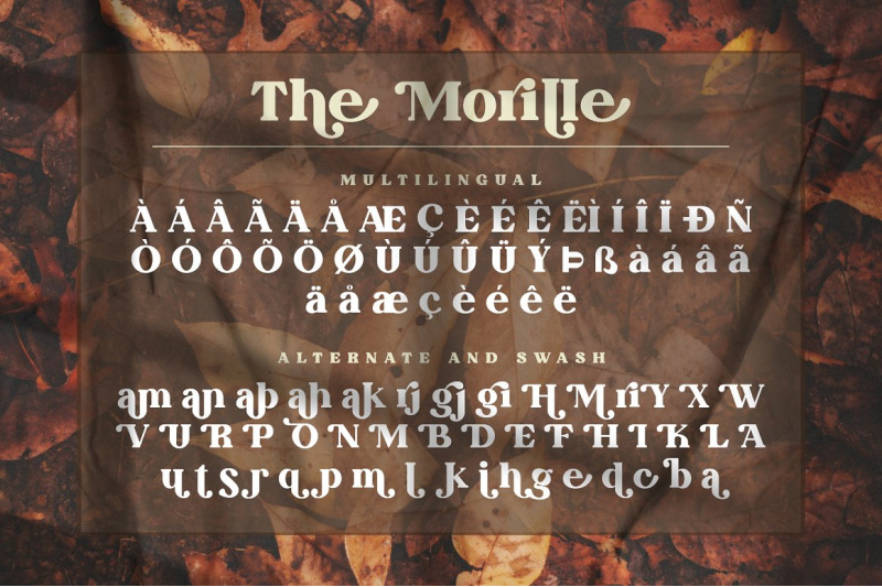 the-morille