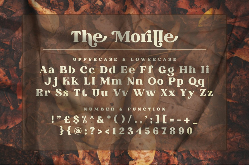 the-morille