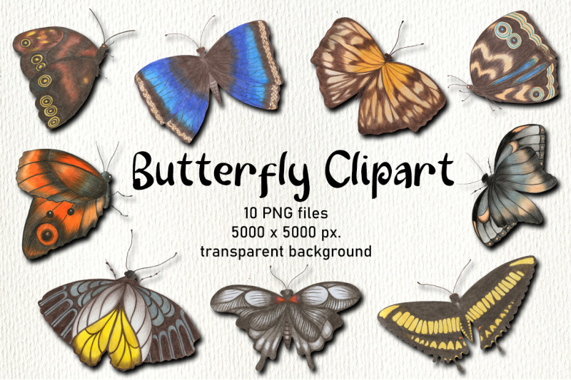 butterfly-clipart-butterfly-illustrations-png