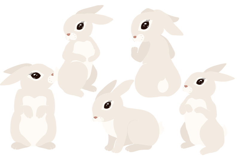 rabbit-illustration-rabbit-symbol-2023