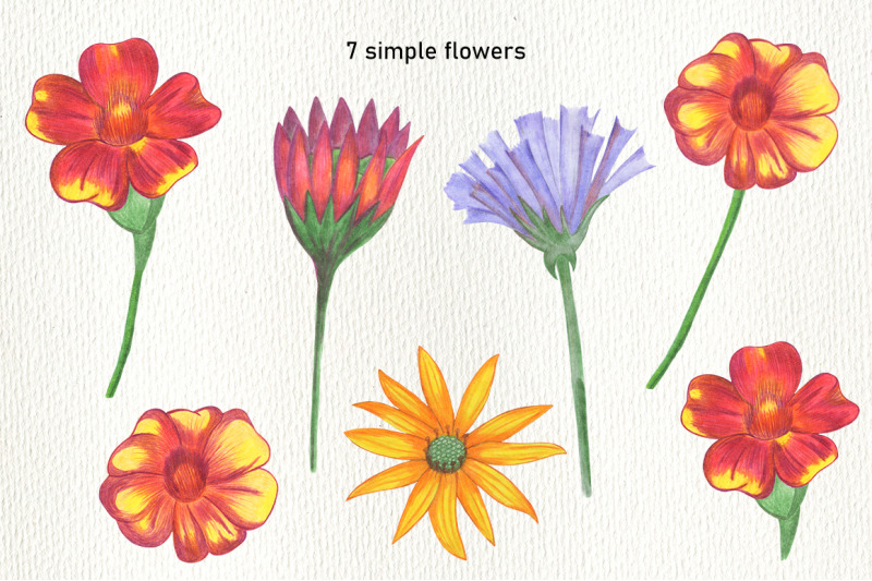flower-sublimation-hand-drawn-flower-clipart-png