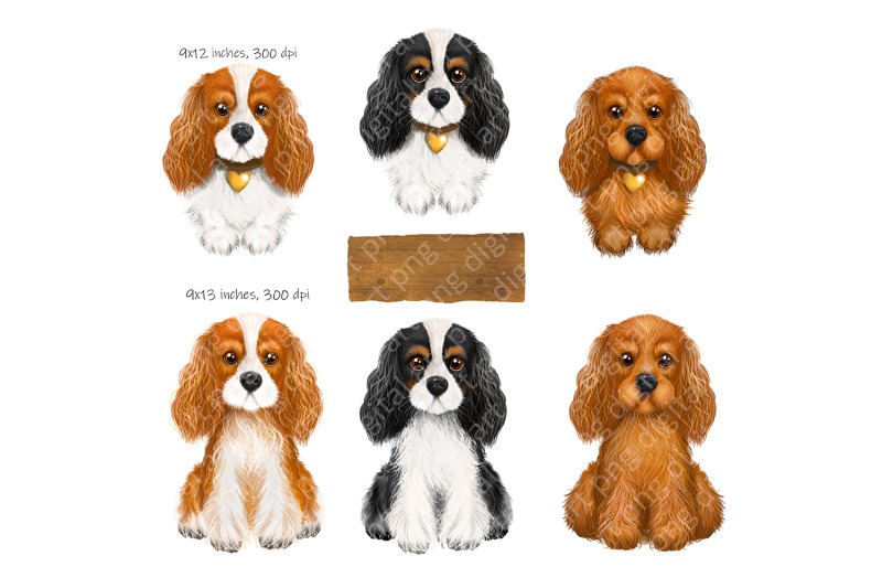 king-charles-spaniel-clipart-png-gift-for-dog-lovers-png