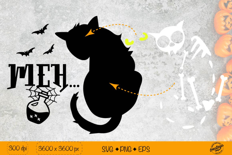 black-cat-svg-halloween-svg-creepy-cats