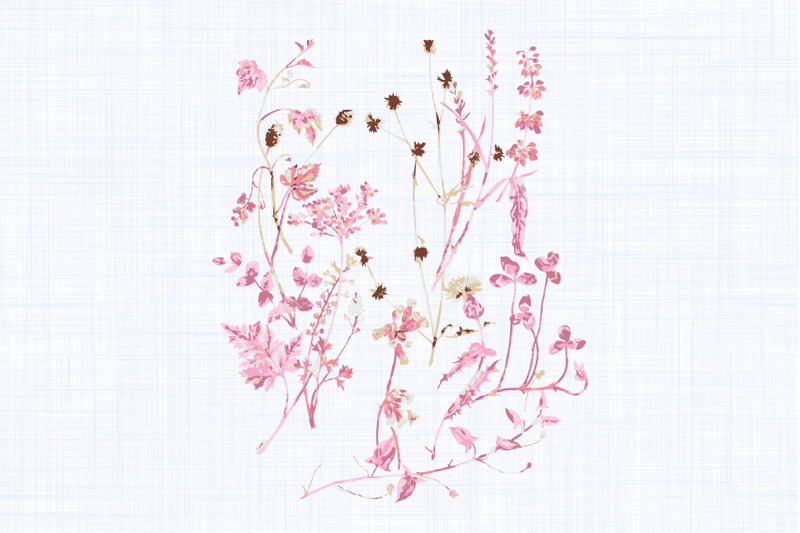 pink-amp-red-wildflower-clip-art-illustration