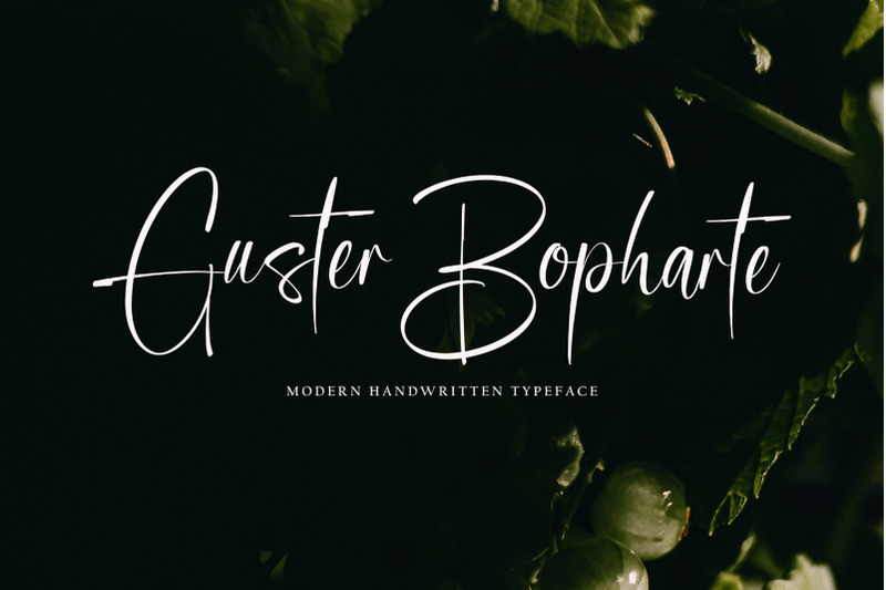 guster-bopharte