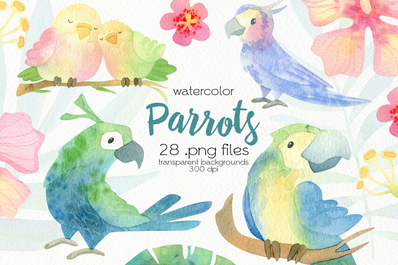 watercolor-parrot-clipart-png-files