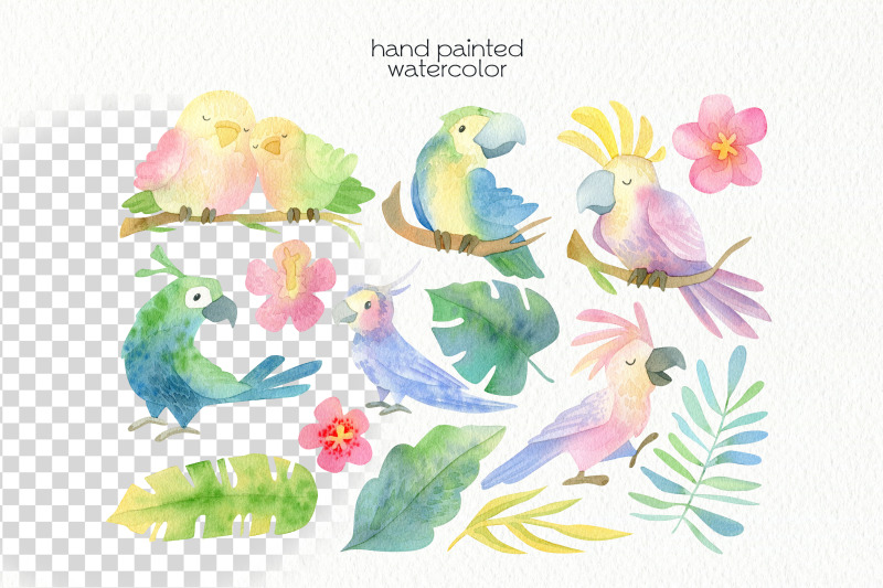 watercolor-parrot-clipart-png-files