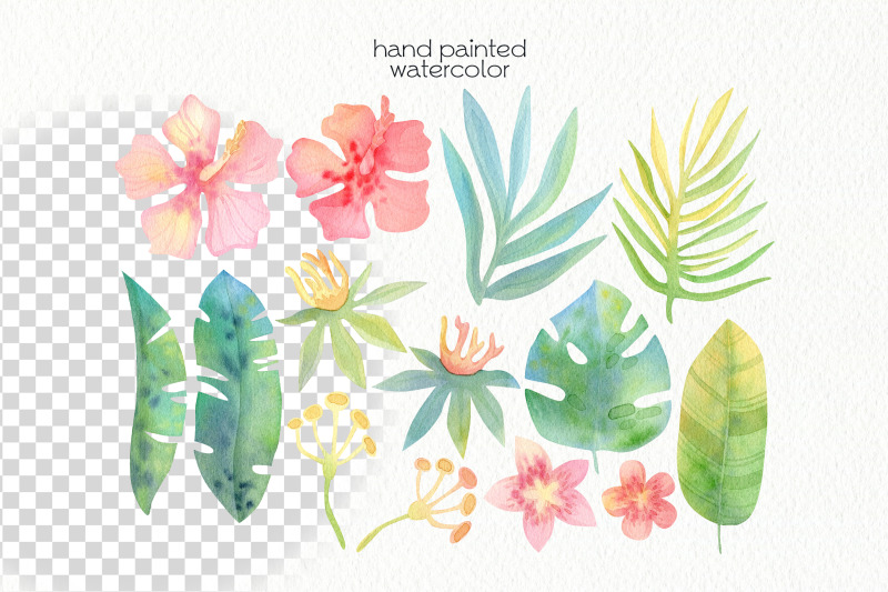 watercolor-parrot-clipart-png-files