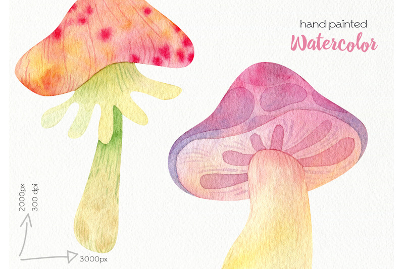 watercolor-mushrooms-clipart-png-files