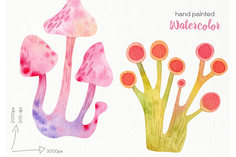 watercolor-mushrooms-clipart-png-files