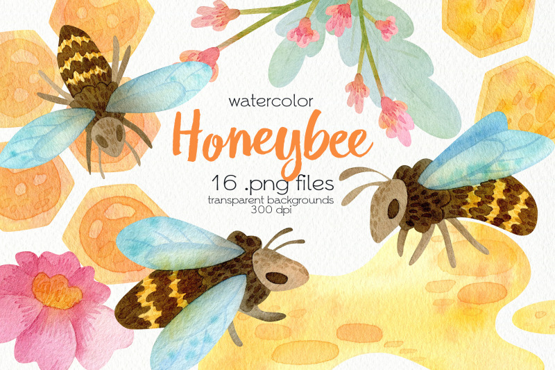 watercolor-honeybee-clipart-png-files