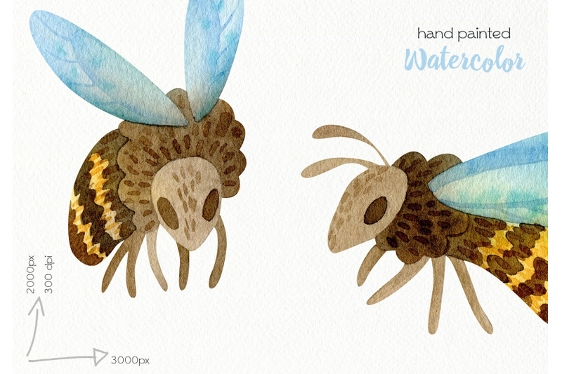 watercolor-honeybee-clipart-png-files