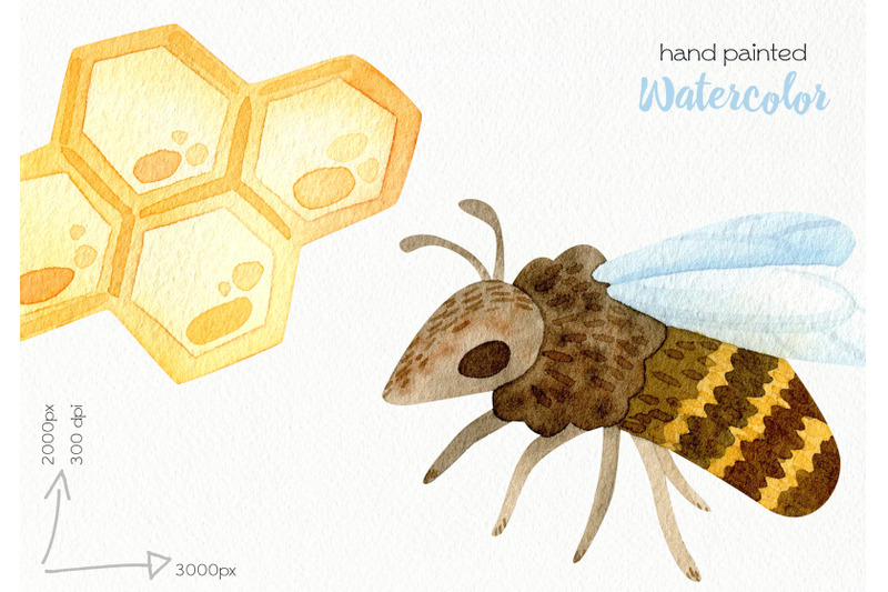 watercolor-honeybee-clipart-png-files