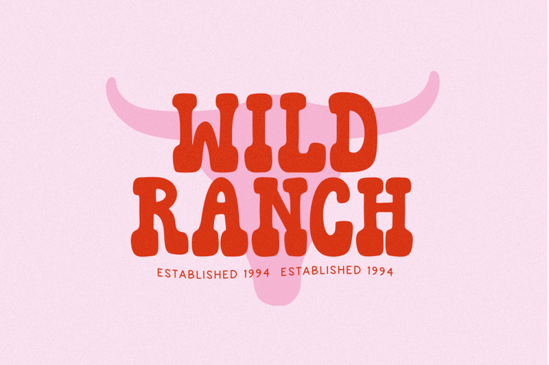 howdy-honey-retro-western-font