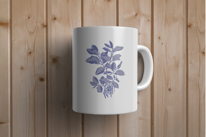 purple-cork-oak-plant-illustration