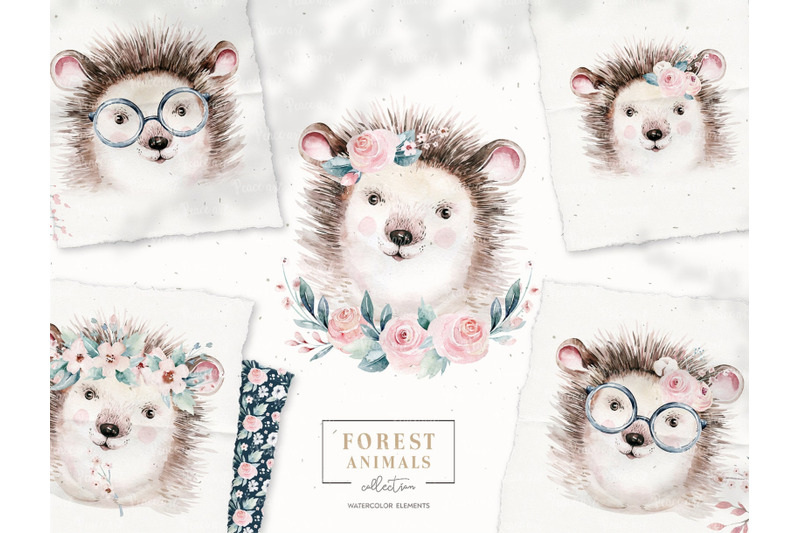 watercolor-woodland-hedgehog-animals-portrait-clipart-png
