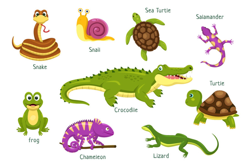 10-set-of-animal-reptile-illustration
