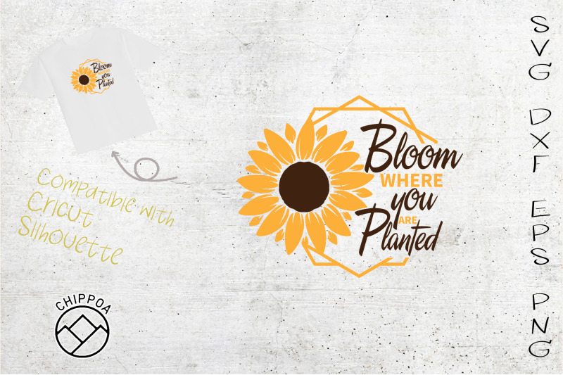 bloom-where-you-are-planted