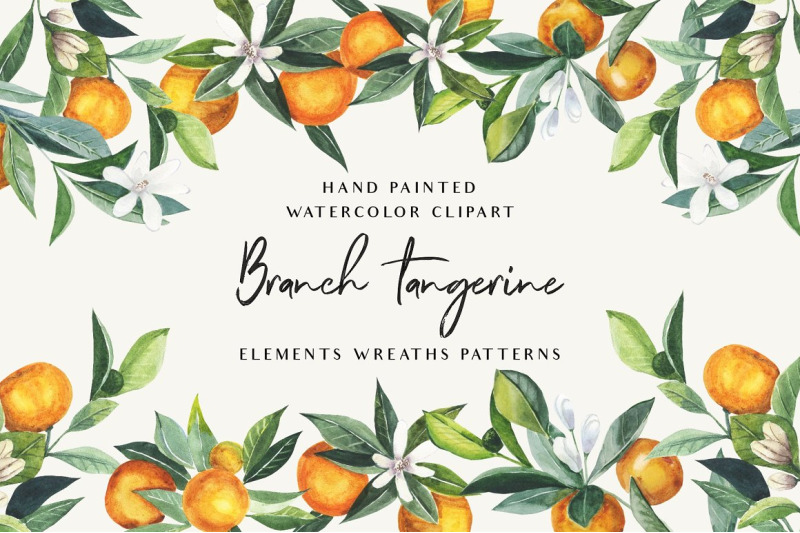 branch-tangerine-orange-watercolor-set-clipart-png