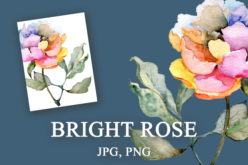 bright-rose-artistic-floral-illustration-with-transparent-background