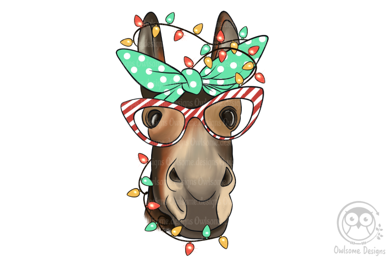 donkey-christmas-sublimation