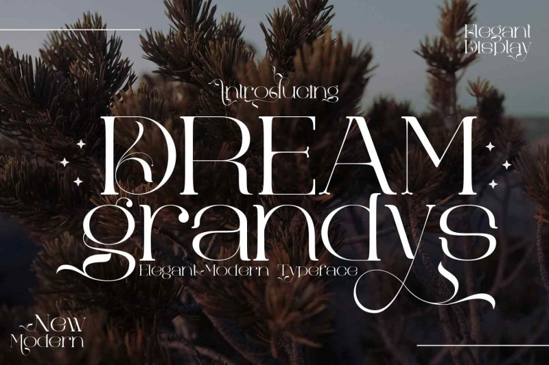 dream-grandys