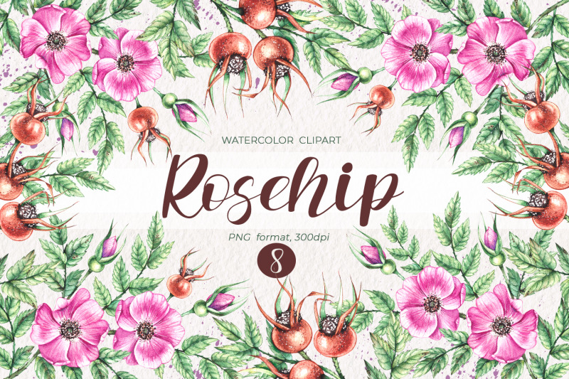 watercolor-rosehip-watercolor-clipart-png