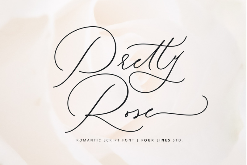 pretty-rose