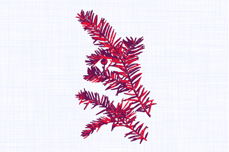 pink-english-yew-tree-illustration