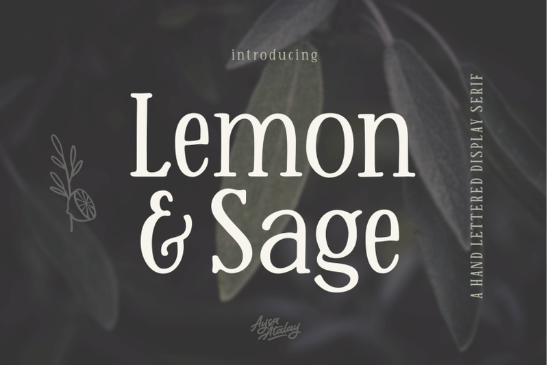 lemon-and-sage-hand-lettered-display-serif-font