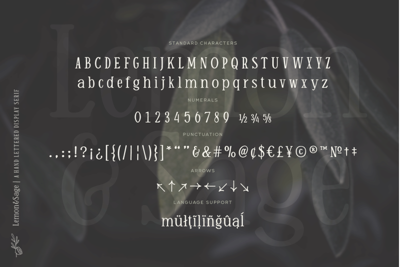 lemon-and-sage-hand-lettered-display-serif-font