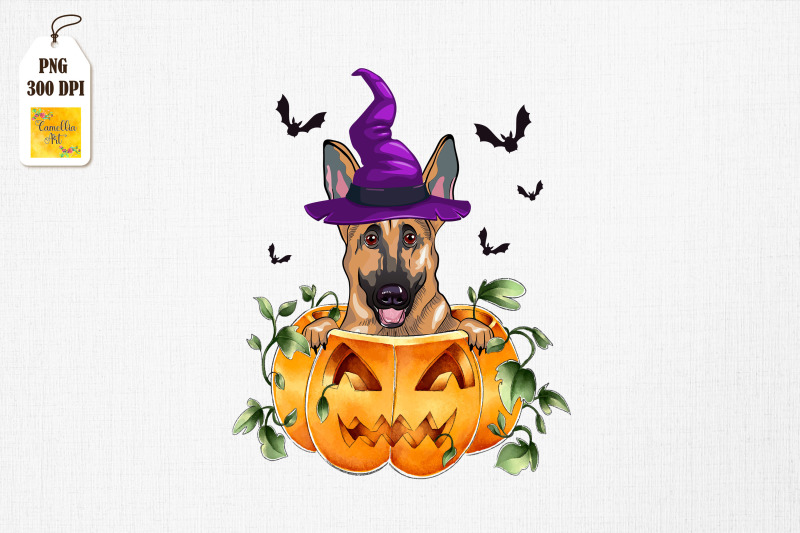 german-shepherd-pumpkin-cute-dog