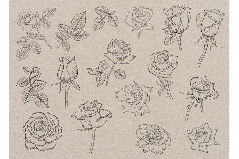 roses-flowers-lineart-clipart-black-outline-individual-clipart-png
