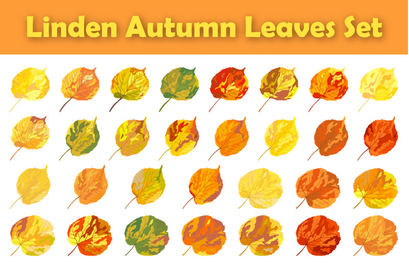 autumn-linden-leaf-set