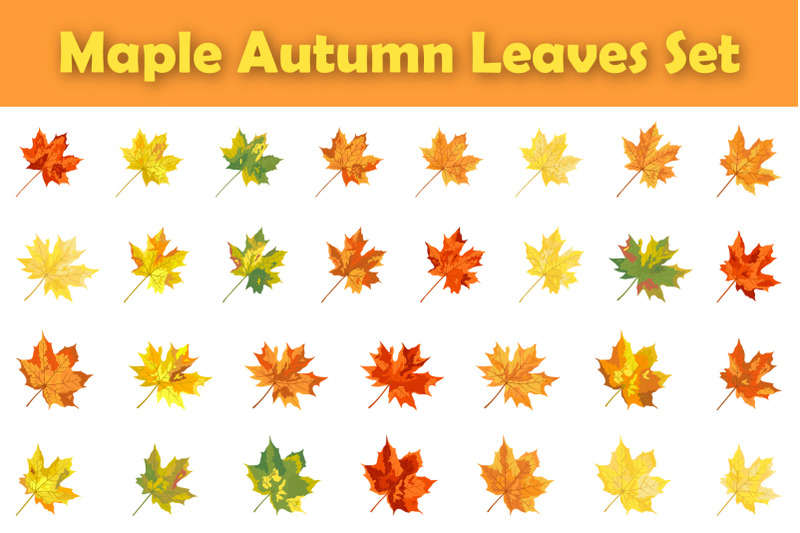 autumn-maple-leaf-set