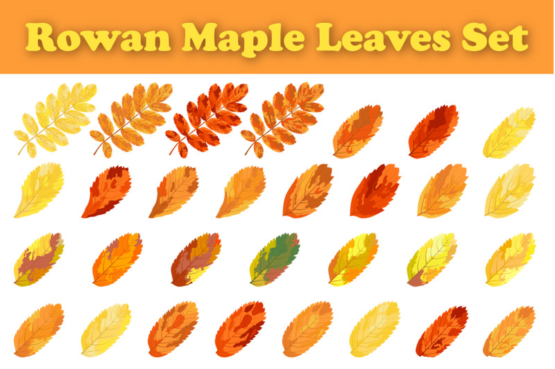 autumn-rowan-leaf-set
