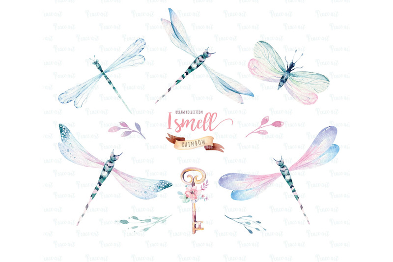 watercolor-dragonflies-clipart-digital-kids-magic-illustrations-png