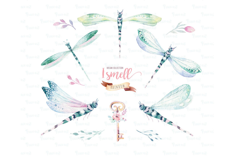 watercolor-dragonflies-clipart-digital-kids-magic-illustrations-png