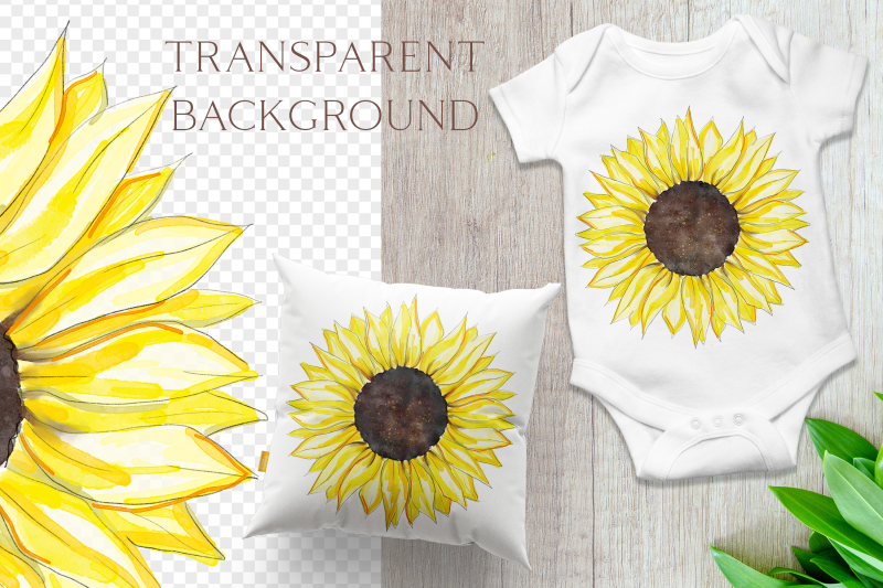 watercolor-sunflower-clipart-sublimation-sunflower-design